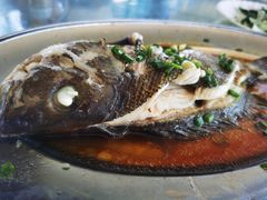 -七鲜渔港美食餐厅(巽寮湾海景店)