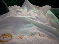 -东方棕泉·洗浴·按摩·美食国际水疗会所(福田店)