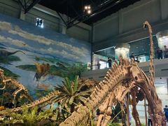 -自贡恐龙博物馆