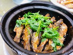 -瑞记湛江鸡饭店·粤西第一鸡(粤垦店)