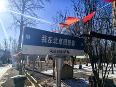 -1982农场
