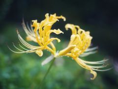 -中国茶叶博物馆(双峰馆区)