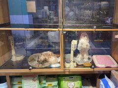 -FAELING PETS美天灵宠物(富力广场店)