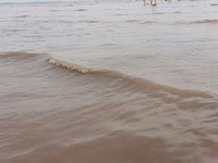 -奉贤海滩