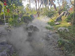 -东莞植物园