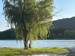 -长广溪湿地公园