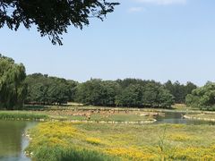 -北京麋鹿生态实验中心