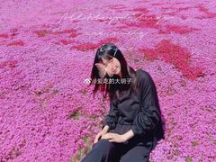 -棒棰岛宾馆景区