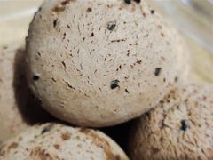 -可瑞朵活力烘焙(三中店)