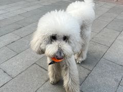 -小意思咖啡店(草桥店)