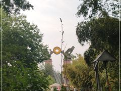 -成都欢乐谷