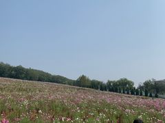 -大连铭湖国际观光牧场