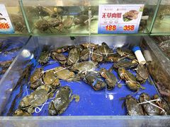 -东江海鲜酒家(艺都分店)