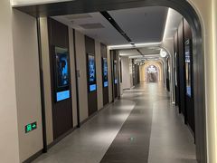 -英皇电影城(英皇集团中心IMAX店)
