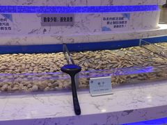-澜悦港海鲜体验主题餐厅