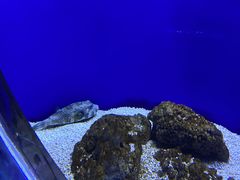 -江和美海洋公园