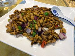 -九大簋家宴(晓港湾店)
