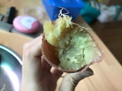 -大湾区中央湿地公园-十九涌