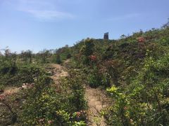 -瑞安圣井山景区