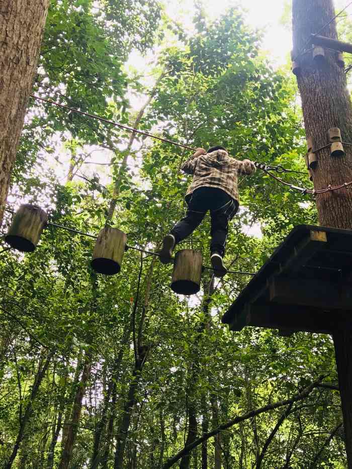重庆飞越丛林探险乐园(歌乐山园区)-"国庆节去的居然下雨人不多,完全
