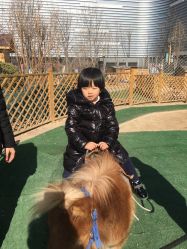 -萌宠亲子动物乐园(槐房万达店)