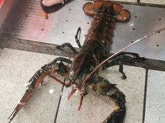 -蚝专家(北滘店)