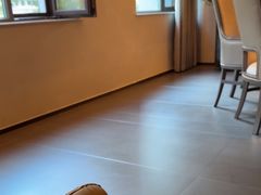 -上和臻品中国菜(花园街店)