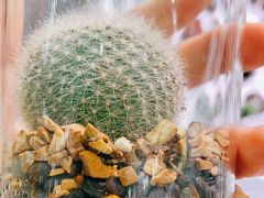 -KKV(深圳宏发大仟里店)