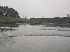 -洨河生态公园