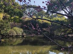 -汇龙潭
