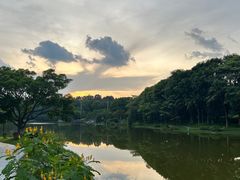 -东莞植物园