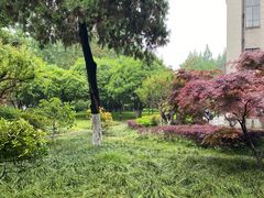 -南京中国近代史遗址博物馆(南京总统府)