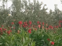 -九华山酒店温泉