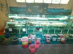 -琼大师东方烤乳猪(亚特兰蒂斯店)