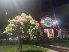 -曼谷拉差达绿宝石酒店