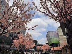 -长风拨筋养身(天街店)