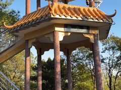 -广州白江湖森林公园