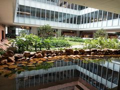 -香港大学