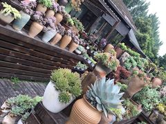 -三圣花乡旅游区