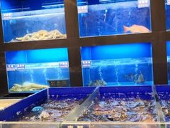水产区-金时代顺风大酒店(临港百联店)