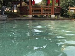 -咸宁万豪温泉谷度假区