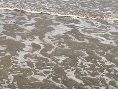 -南汇新城海滩