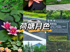 -金银湖国家城市湿地公园