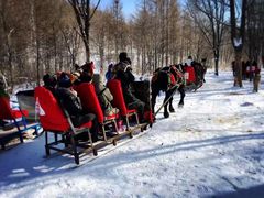 -亚布力新体委滑雪场
