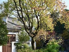 -巡塘古镇