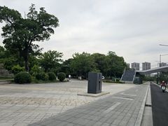 -九里河湿地公园