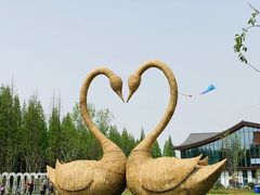-东平国家森林公园