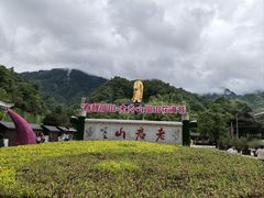 -老君山风景名胜区