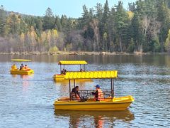 -五营红松林海景区