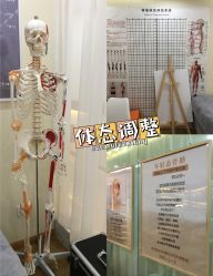 -颜和骨正·明哲式骨相美学整骨